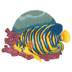 Regal Angelfish Machine Embroidery Design