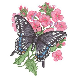 Black Swallowtail and Hesperis Machine Embroidery Design