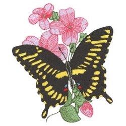 Giant Swallowtail and Dames Rocket Machine Embroidery Design