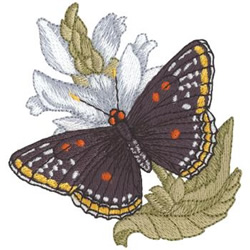 Baltimore Checkersport and Turtlehead Plant Machine Embroidery Design
