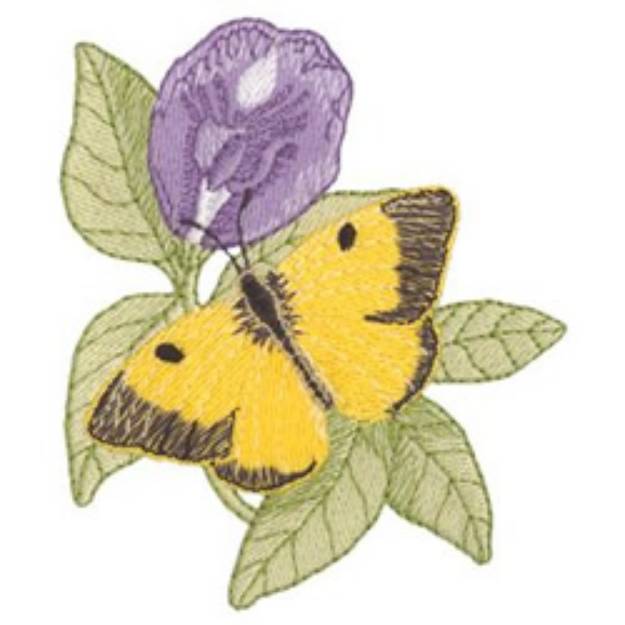 Picture of Male Alfalfa and  Butterfly Pea Machine Embroidery Design