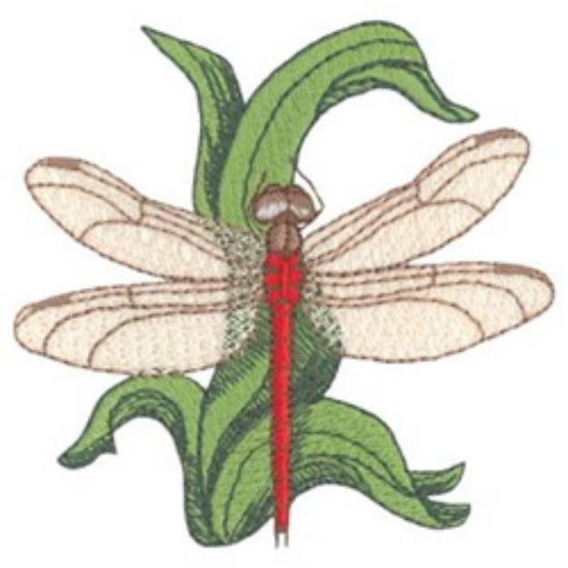 Picture of White Faced Meadowhawk on Grass Machine Embroidery Design