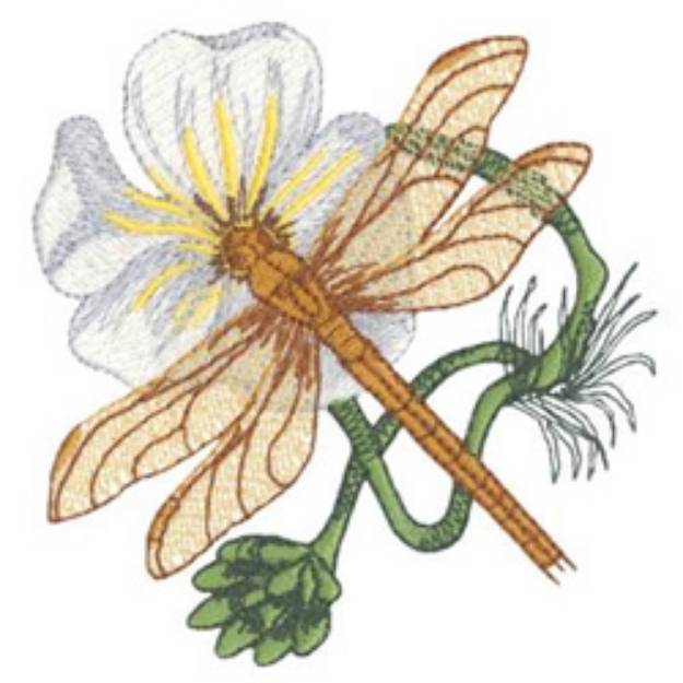 Picture of Brown Hawker  and White Water Crowfoot Machine Embroidery Design