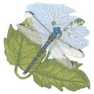 Picture of Swamp Darner and Bishops Cap Machine Embroidery Design