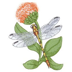 Eastern Ringtail and Orange Milkwort Machine Embroidery Design