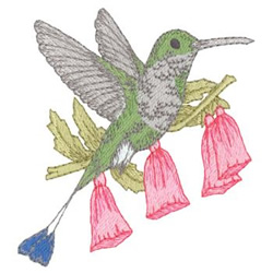 Booted Racket-tail Machine Embroidery Design