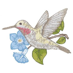 Broad-tailed Humingbird Machine Embroidery Design