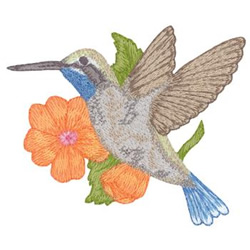 Blue-Throated Hummingbird Machine Embroidery Design