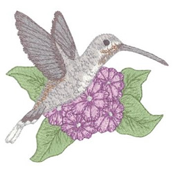 Long-Tailed Hermit Machine Embroidery Design