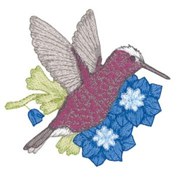 Snowcap Hummingbird Machine Embroidery Design