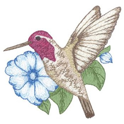 Costas Hummingbird Machine Embroidery Design