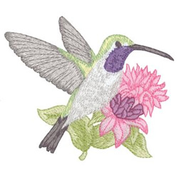 Lucifer Hummingbird Machine Embroidery Design