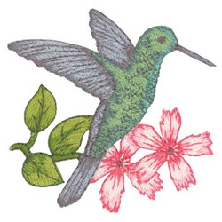 Green Crowned Brilliant Hummingbird Machine Embroidery Design