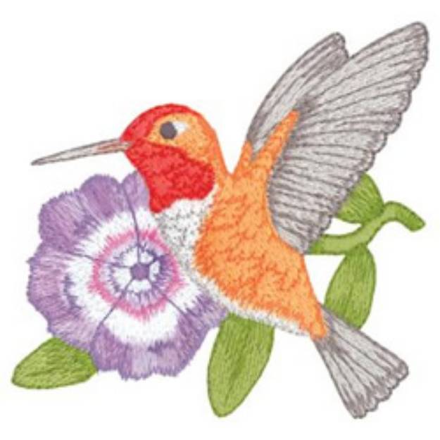 Picture of Rufous Hummingbird Machine Embroidery Design