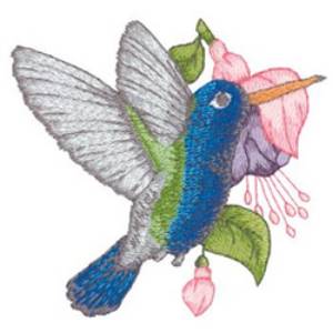 Picture of Broad-billed Hummingbird Machine Embroidery Design