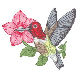 Annas Hummingbird Machine Embroidery Design