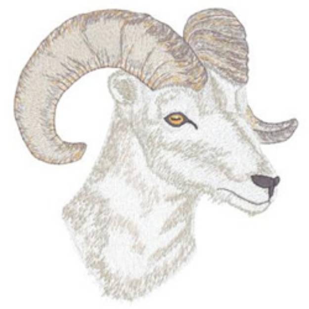 Picture of Bighorn Sheep Machine Embroidery Design