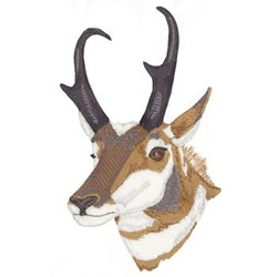 Pronghorn Antelope Machine Embroidery Design