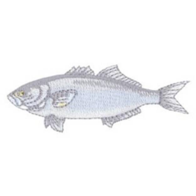 Picture of Bluefish Machine Embroidery Design