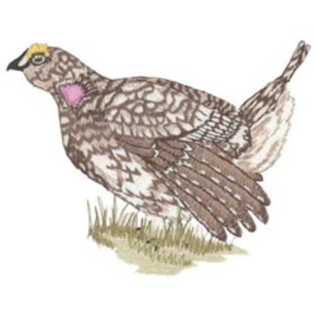 Picture of Sharptailed Grouse Machine Embroidery Design