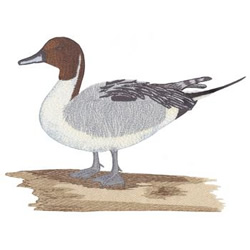 Pintail Machine Embroidery Design