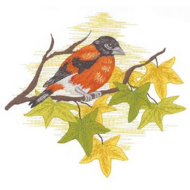 Picture of Red Siskin Machine Embroidery Design