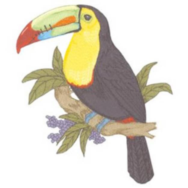 Picture of Keel Bill Toucan Machine Embroidery Design