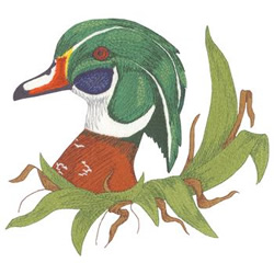 Wood Duck Machine Embroidery Design