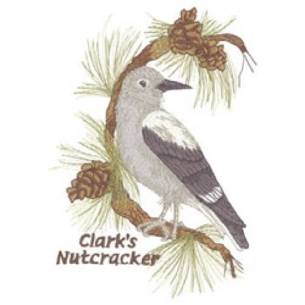 Picture of Clarks Nutcracker Machine Embroidery Design