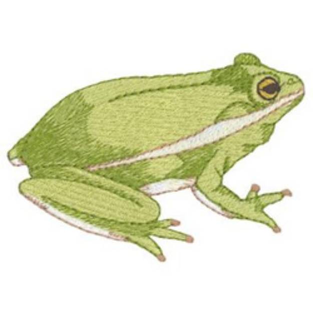 Picture of Green Tree Frog Machine Embroidery Design