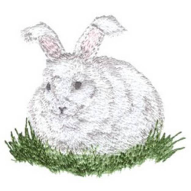 Picture of Angora Rabbit Machine Embroidery Design