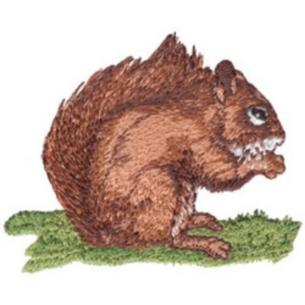 Picture of Red Squirrel Machine Embroidery Design