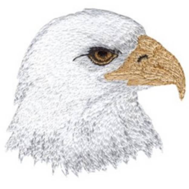 Picture of Bald Eagle Head Machine Embroidery Design