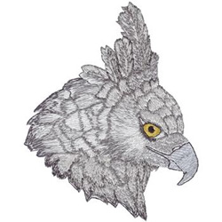 Harpy Eagle Machine Embroidery Design