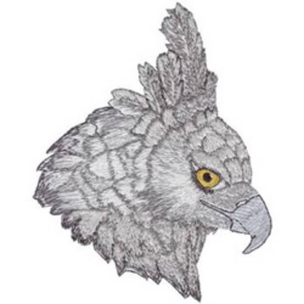 Picture of Harpy Eagle Machine Embroidery Design