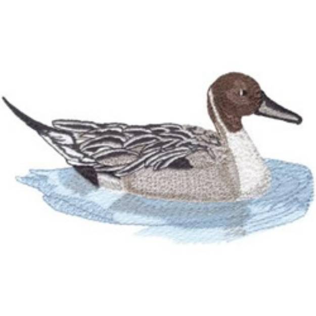 Picture of Pintail Duck Machine Embroidery Design