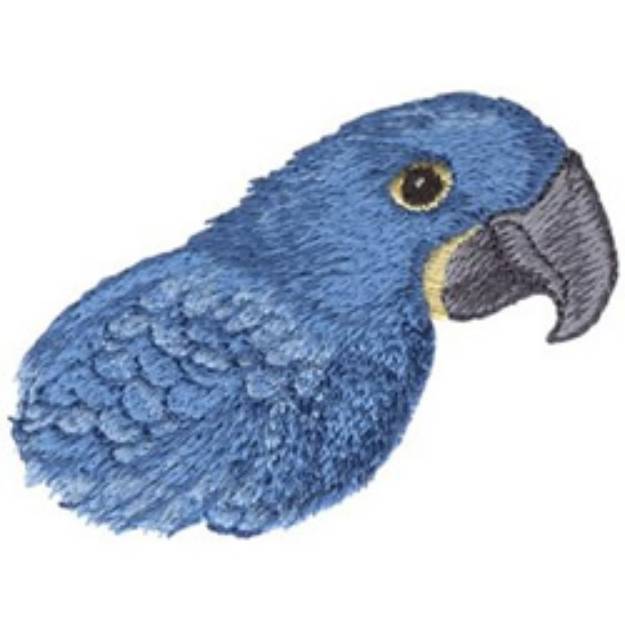 Picture of Hyacinth Macaw Machine Embroidery Design