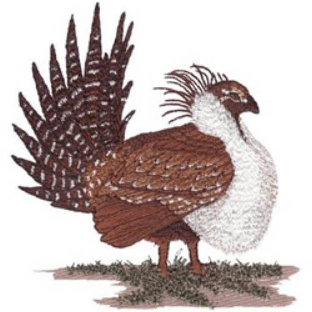Picture of Sage Grouse Machine Embroidery Design