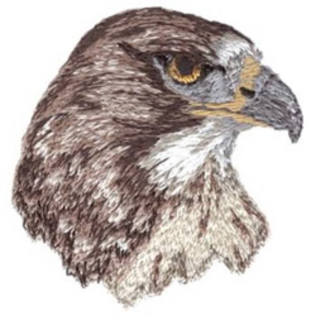 Picture of Red-tail Hawk Machine Embroidery Design