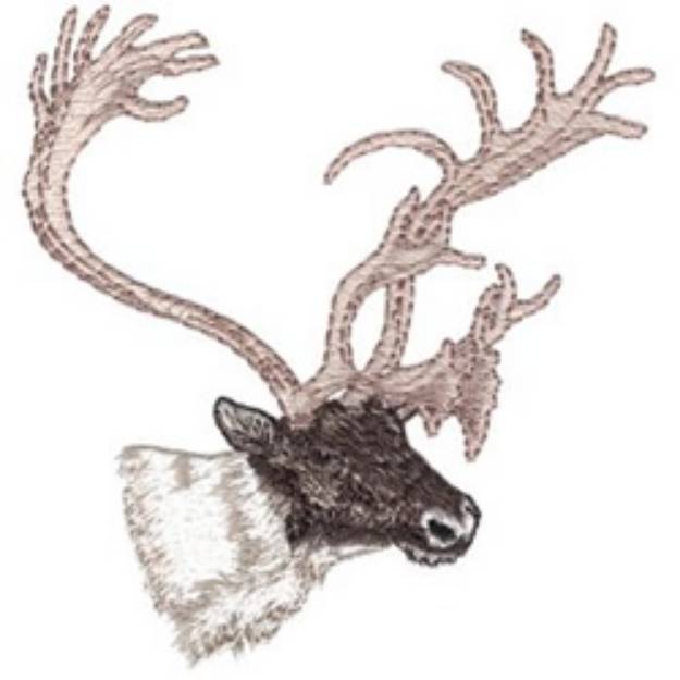 Picture of Caribou Machine Embroidery Design