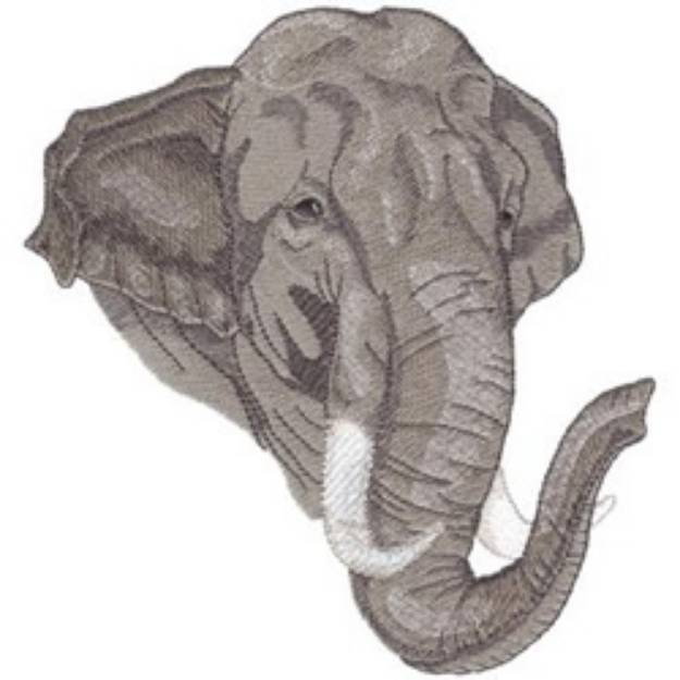 Picture of Asian Elephant Machine Embroidery Design