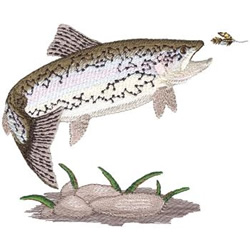 Rainbow Trout Machine Embroidery Design