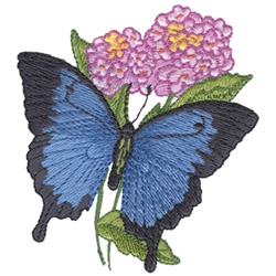 Ulysses Butterfly Machine Embroidery Design