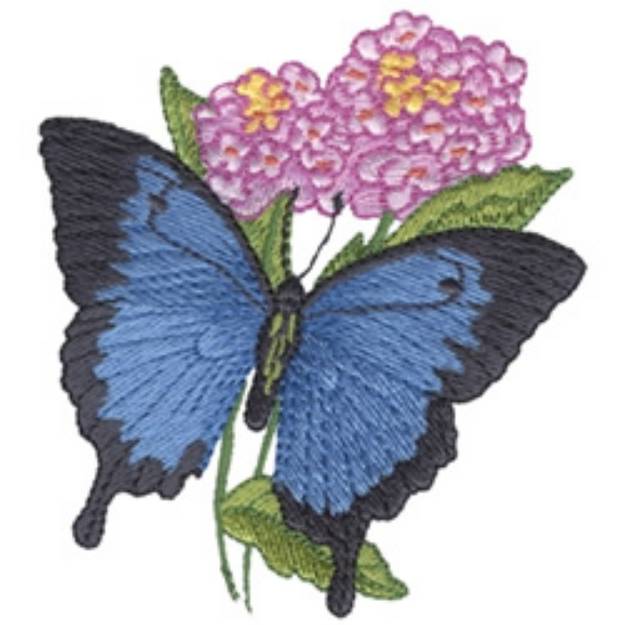 Picture of Ulysses Butterfly Machine Embroidery Design