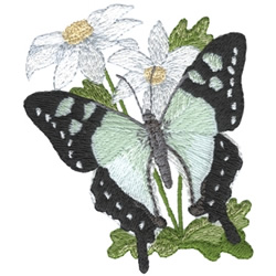 Macleays Swallowtail Machine Embroidery Design
