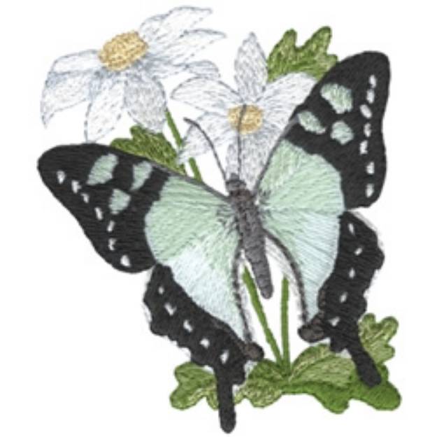 Picture of Macleays Swallowtail Machine Embroidery Design