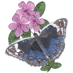 Blue Pansy/Blue Argus Machine Embroidery Design
