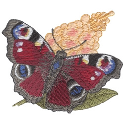 Peacock Butterfly Machine Embroidery Design