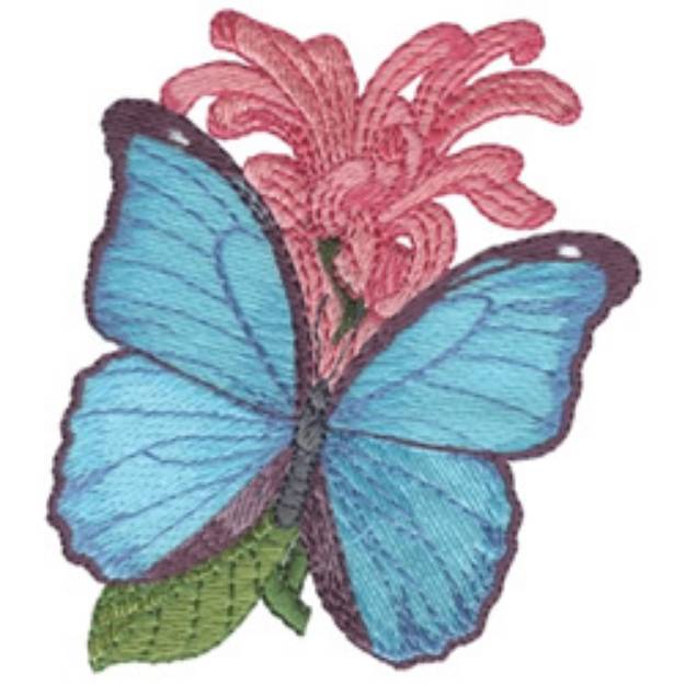 Picture of Blue Morpho Machine Embroidery Design