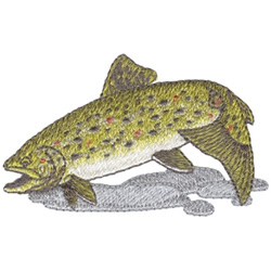 Brown Trout Machine Embroidery Design